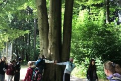 01_Wald_Alltagskomp_2025