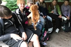02_Wald_Alltagskomp_2025