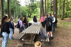 1_03_Wald_Alltagskomp_2025