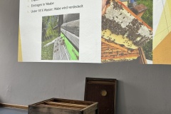 20250721_062954518_iOS