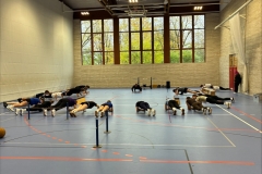 processed-CB8FBA5F-7461-4A3F-B862-A74364BBADFF