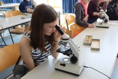 Tag-der-offenen-Tuer009