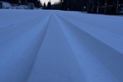 IMG_5254