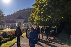IMG_2990