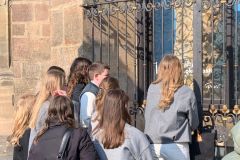 e4e3c543-4da2-4e59-8b1a-bb372da6186a