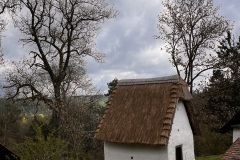 IMG_0029