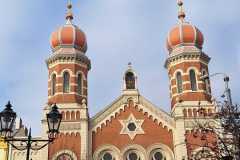 IMG_7020