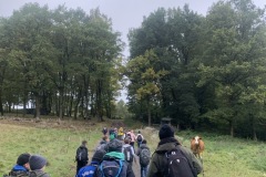 Image-1