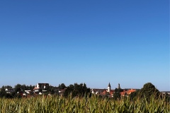 IMG_1795